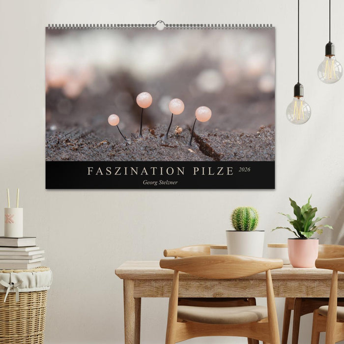 FASZINATION PILZE 2026 (CALVENDO Wandkalender 2026)
