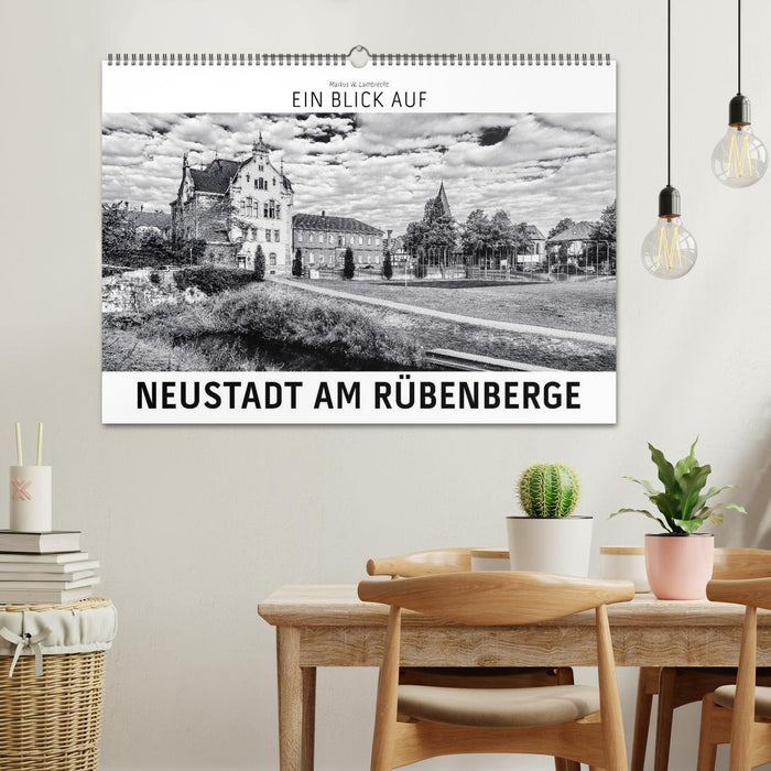 Ein Blick auf Neustadt am Rübenberge (CALVENDO Wandkalender 2026)