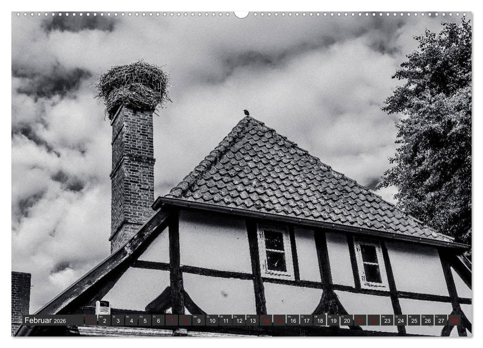 Ein Blick auf Neustadt am Rübenberge (CALVENDO Wandkalender 2026)