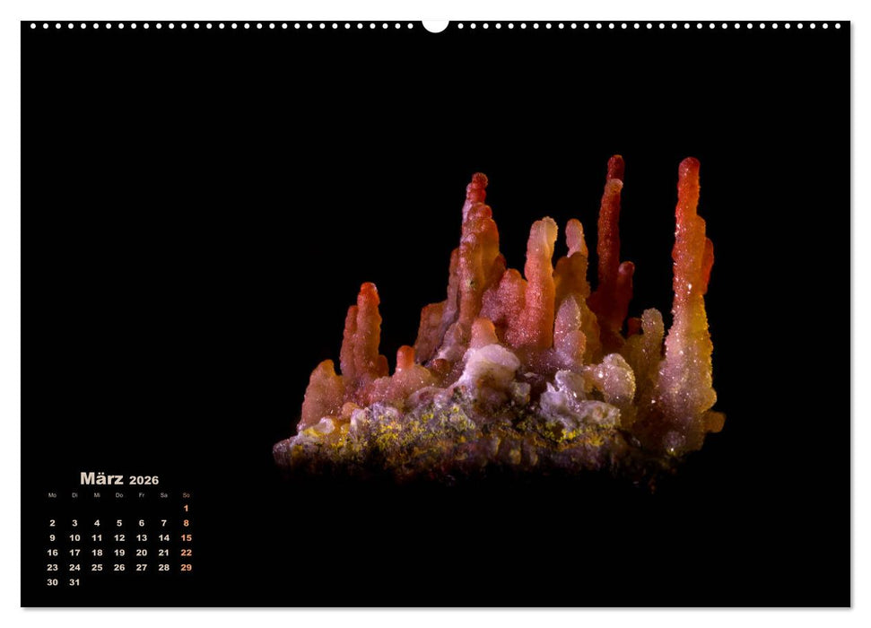 MINERALIEN designed by nature (CALVENDO Wandkalender 2026)
