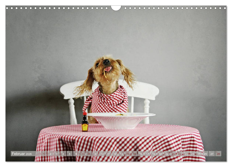 DACKELmix Elli Pirelli (CALVENDO Wandkalender 2026)