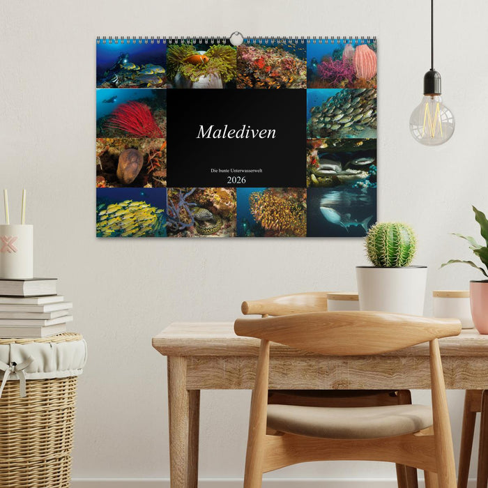 Malediven - Die bunte Unterwasserwelt (CALVENDO Wandkalender 2026)
