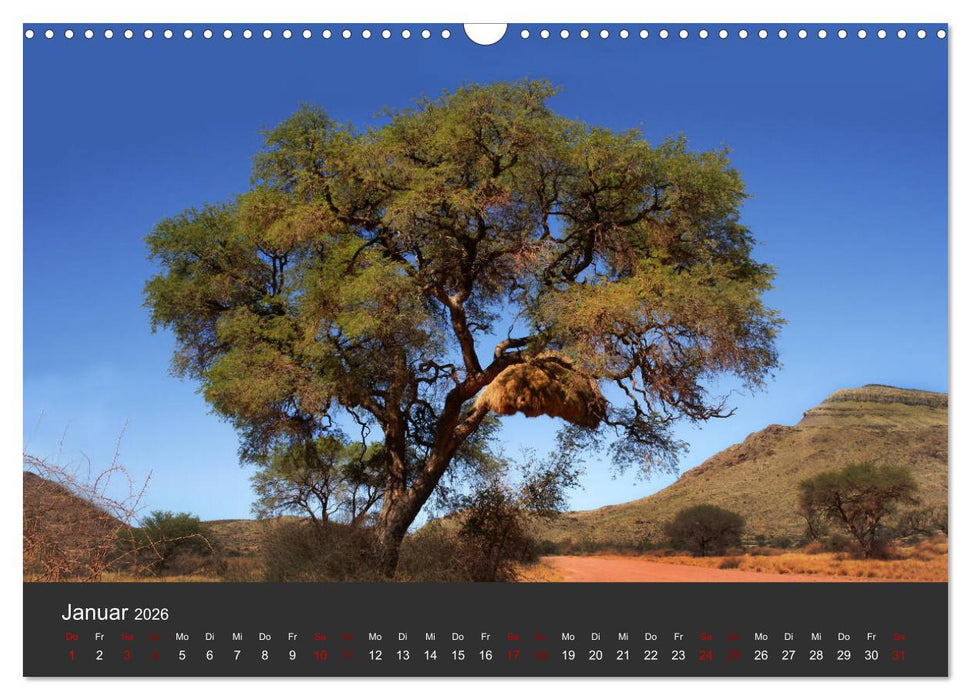 Südafrika - Einzigartige Naturschönheit (CALVENDO Wandkalender 2026)