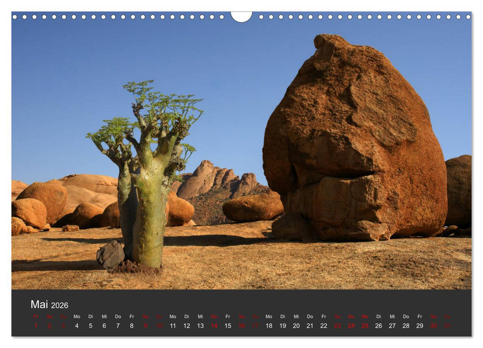 Südafrika - Einzigartige Naturschönheit (CALVENDO Wandkalender 2026)