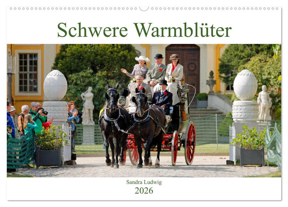 Schwere Warmblüter 2026 (CALVENDO Wandkalender 2026)