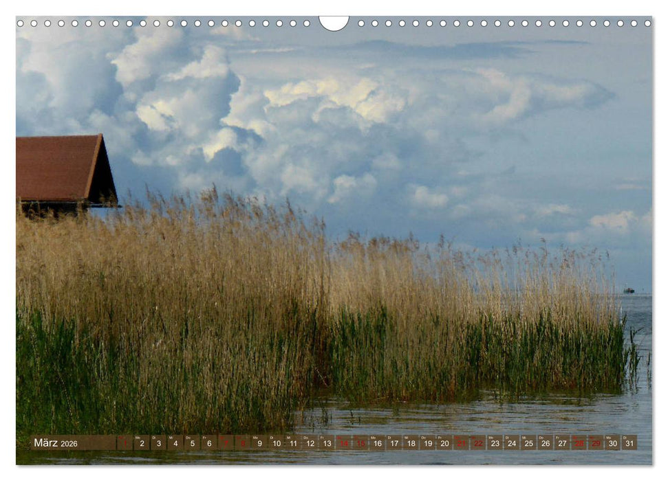 Bodenseeperlen (CALVENDO Wandkalender 2026)