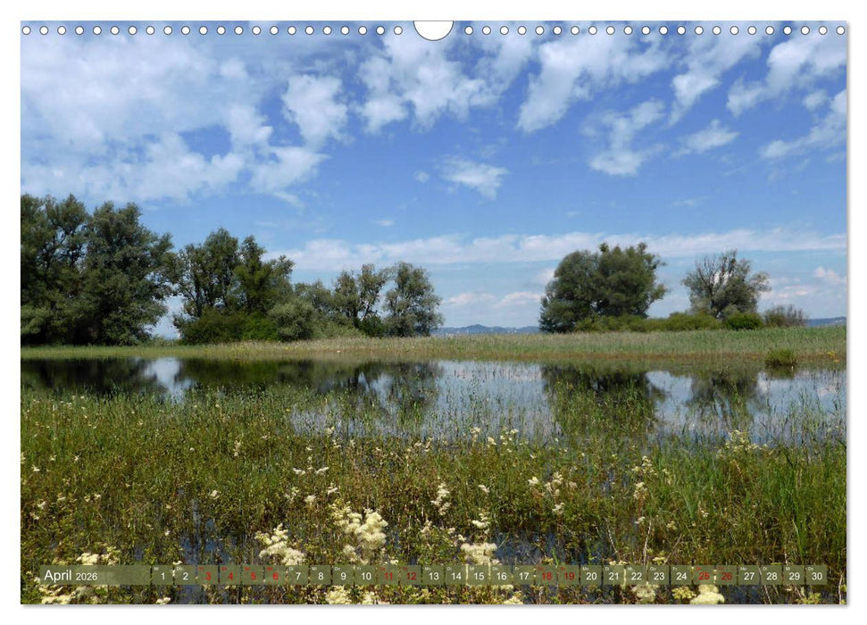 Bodenseeperlen (CALVENDO Wandkalender 2026)