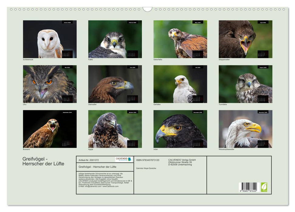 Greifvögel - Herrscher der Lüfte (CALVENDO Wandkalender 2026)