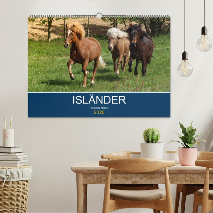 Isländer - icelandic horses (CALVENDO Wandkalender 2026)