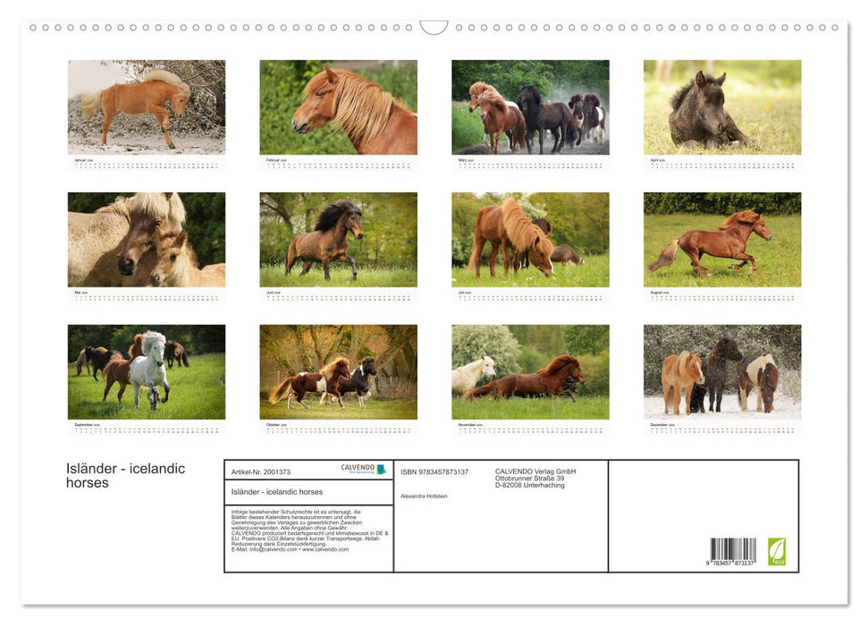 Isländer - icelandic horses (CALVENDO Wandkalender 2026)