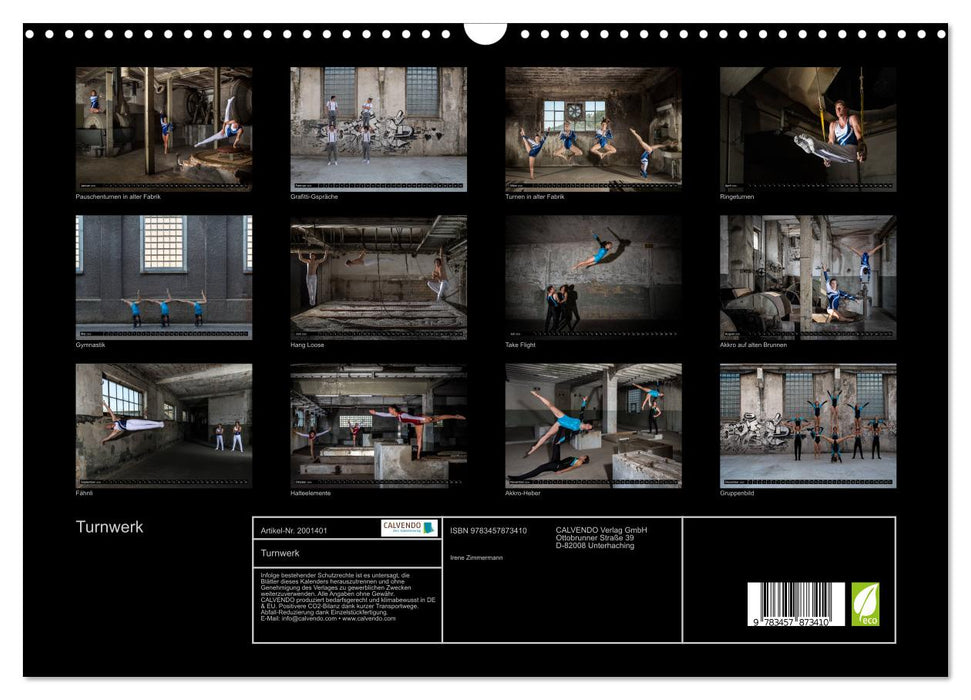 Turnwerk (CALVENDO Wandkalender 2026)
