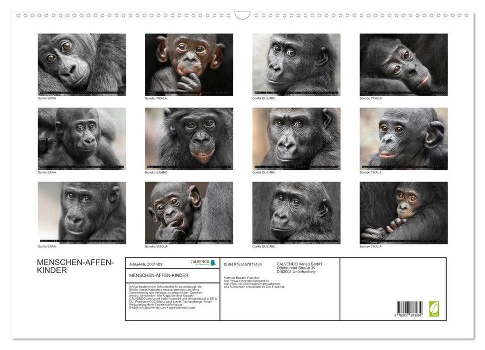 MENSCHEN-AFFEN-KINDER (CALVENDO Wandkalender 2026)