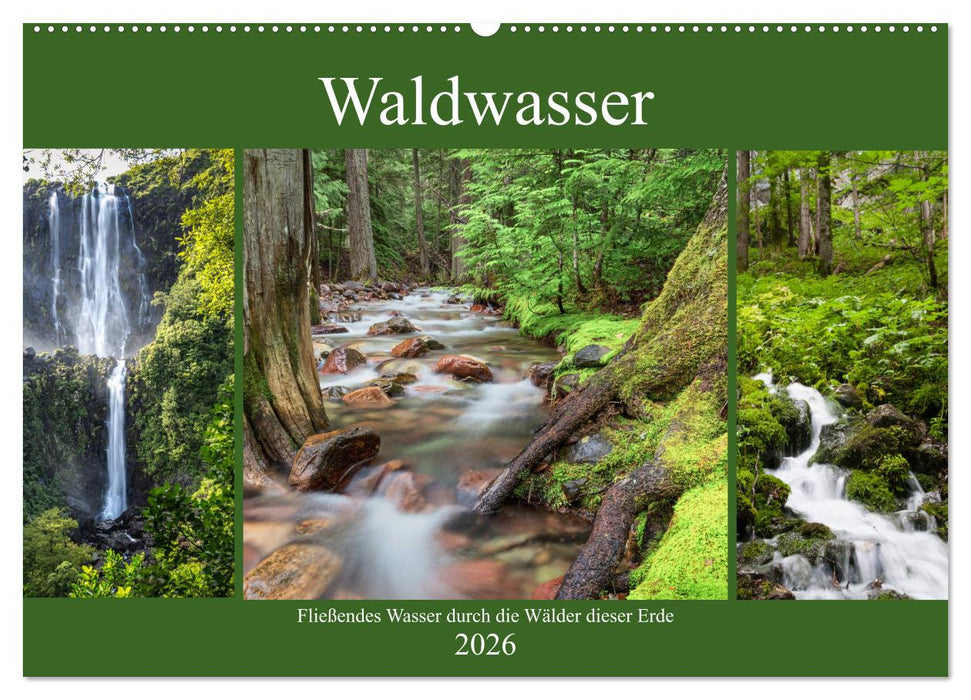 Waldwasser (CALVENDO Wandkalender 2026)