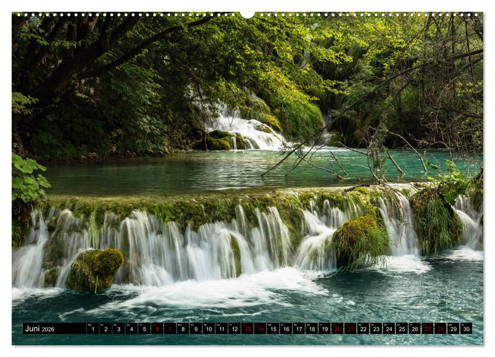 Waldwasser (CALVENDO Wandkalender 2026)