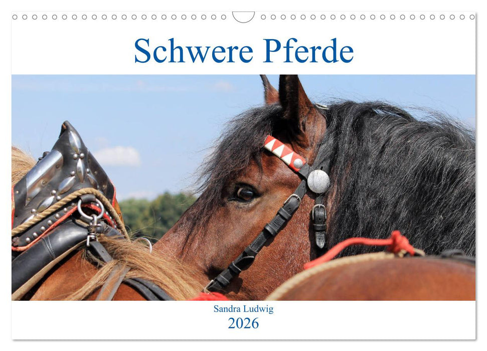 Schwere Pferde 2026 (CALVENDO Wandkalender 2026)