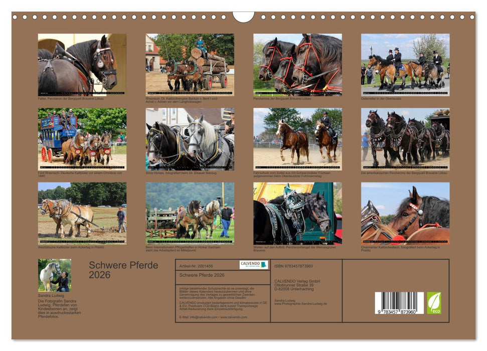 Schwere Pferde 2026 (CALVENDO Wandkalender 2026)