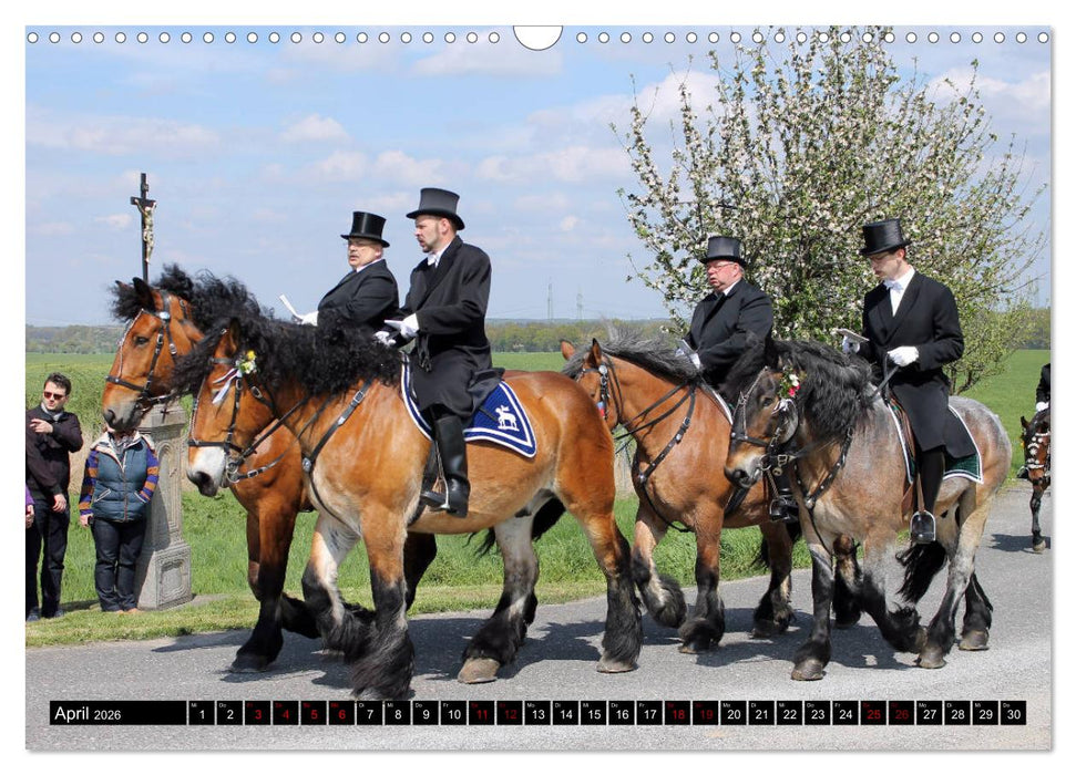 Schwere Pferde 2026 (CALVENDO Wandkalender 2026)