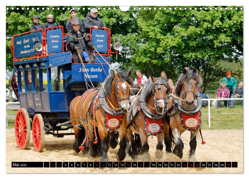 Schwere Pferde 2026 (CALVENDO Wandkalender 2026)