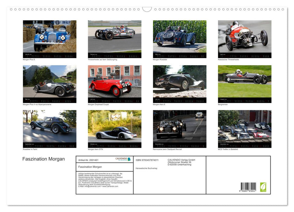 Faszination Morgan (CALVENDO Wandkalender 2026)