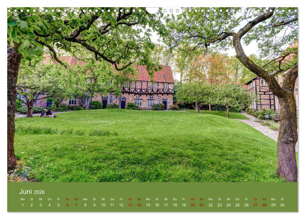 Fantastisches Lüneburg (CALVENDO Wandkalender 2026)