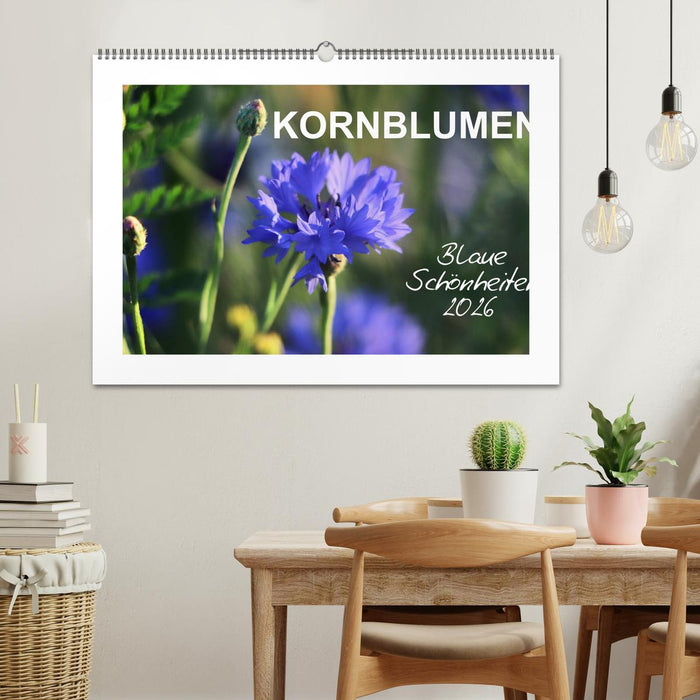 Kornblumen - Blaue Schönheiten (CALVENDO Wandkalender 2026)