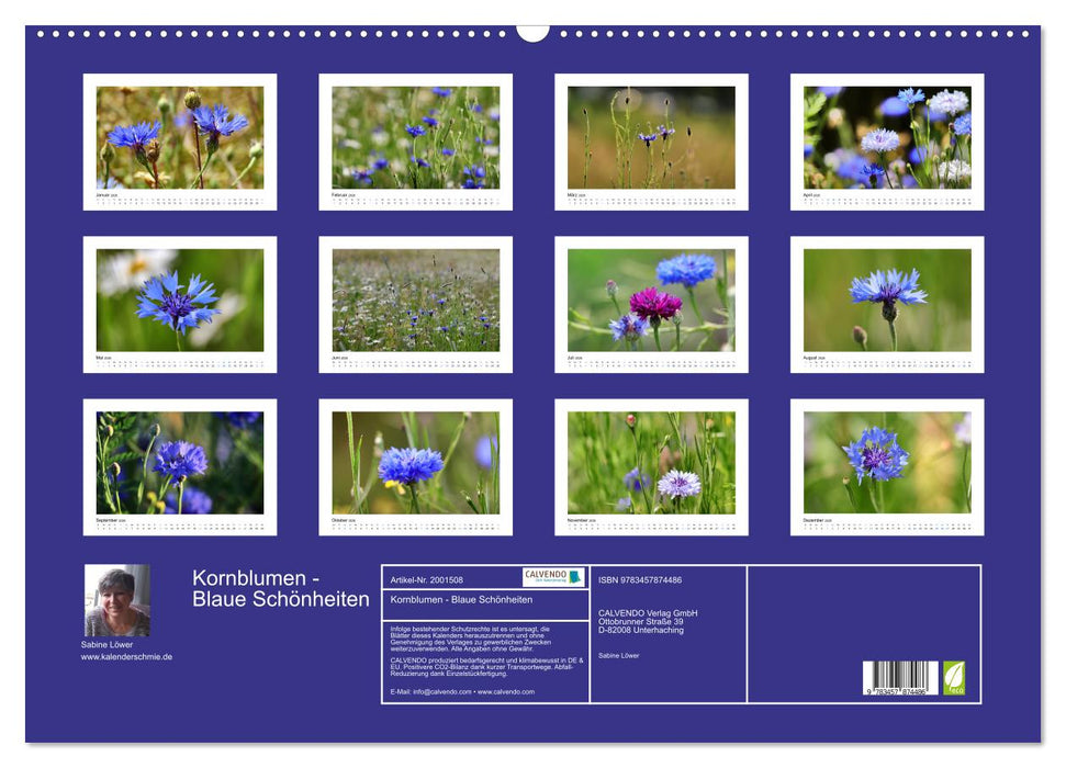 Kornblumen - Blaue Schönheiten (CALVENDO Wandkalender 2026)