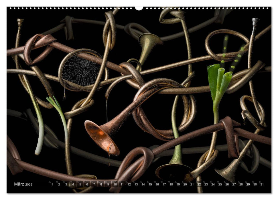 Musica fantásia - Die wundersame Welt des Fotokünstlers Olaf Bruhn (CALVENDO Wandkalender 2026)