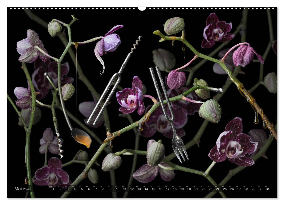 Musica fantásia - Die wundersame Welt des Fotokünstlers Olaf Bruhn (CALVENDO Wandkalender 2026)