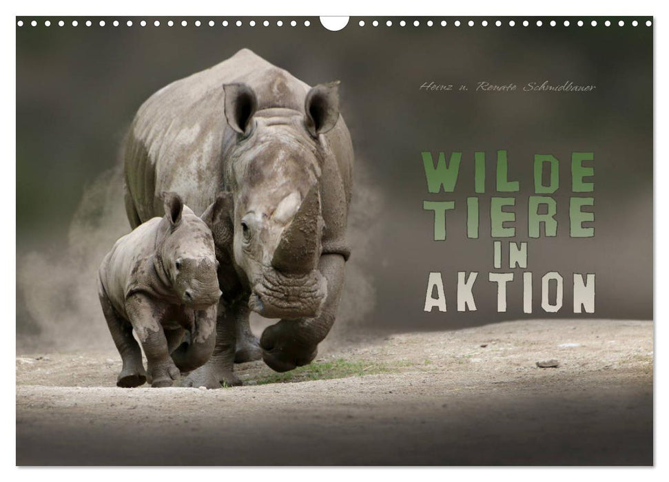 WILDE TIERE IN AKTION (CALVENDO Wandkalender 2026)