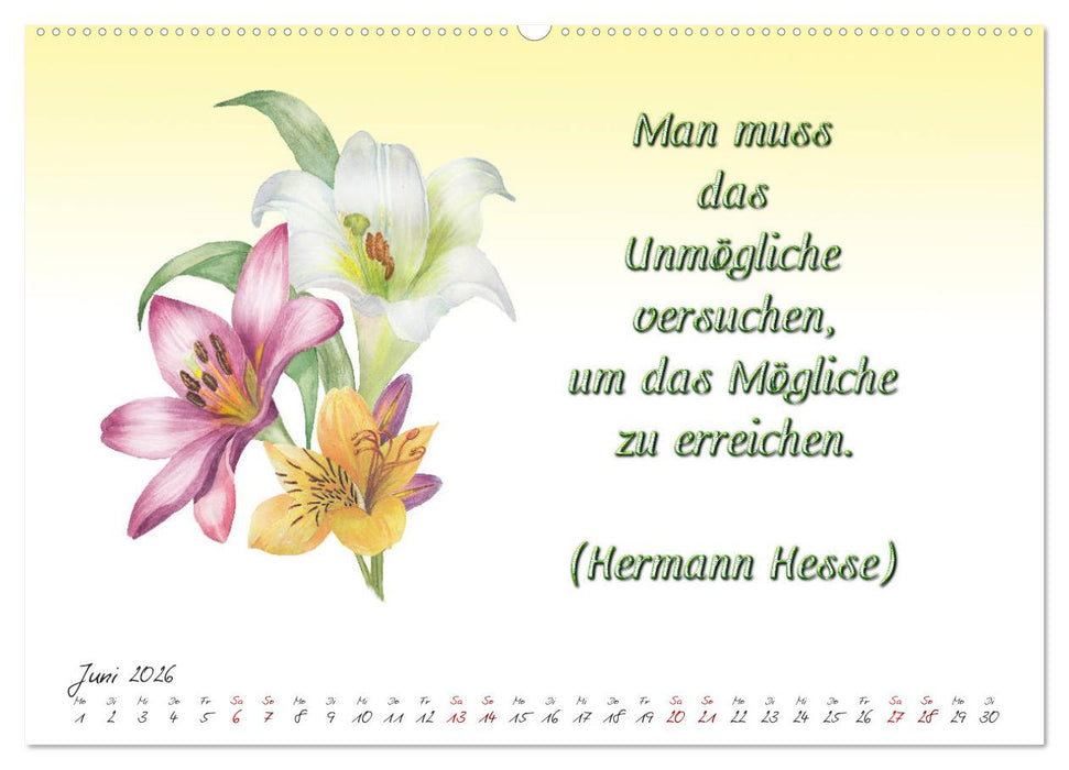 12 unterhaltsame Zitate für ein schönes Jahr (CALVENDO Wandkalender 2026)