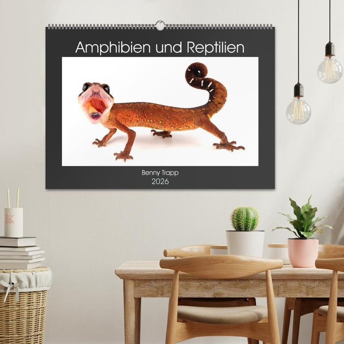 Amphibien und Reptilien (CALVENDO Wandkalender 2026)