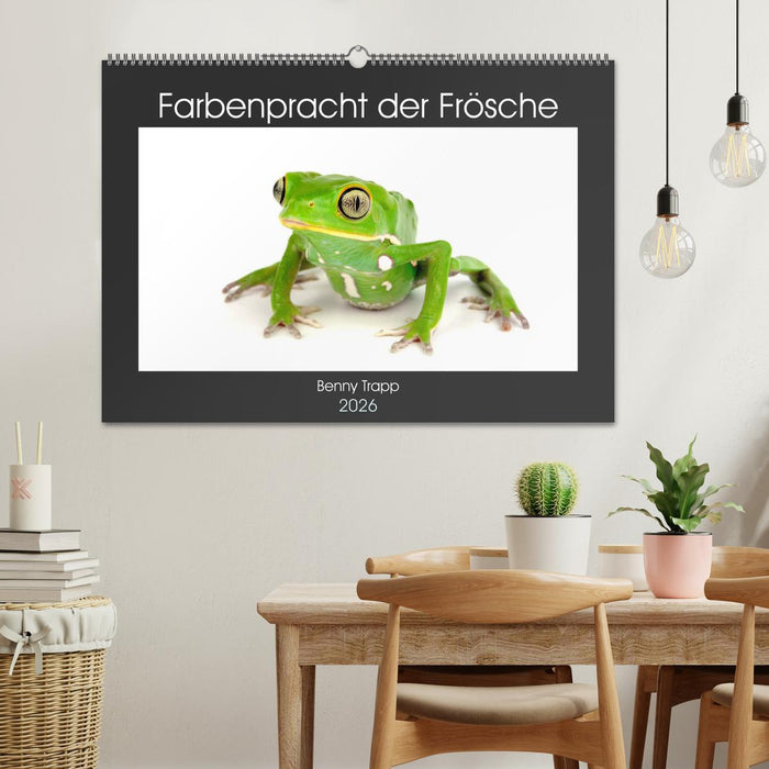 Farbenpracht der Frösche (CALVENDO Wandkalender 2026)