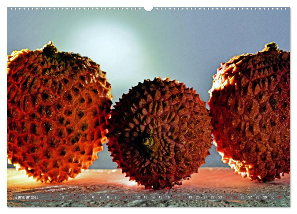 Obst und Gemüse Galerie (CALVENDO Wandkalender 2026)