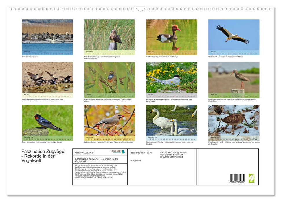 Faszination Zugvögel - Rekorde in der Vogelwelt (CALVENDO Wandkalender 2026)