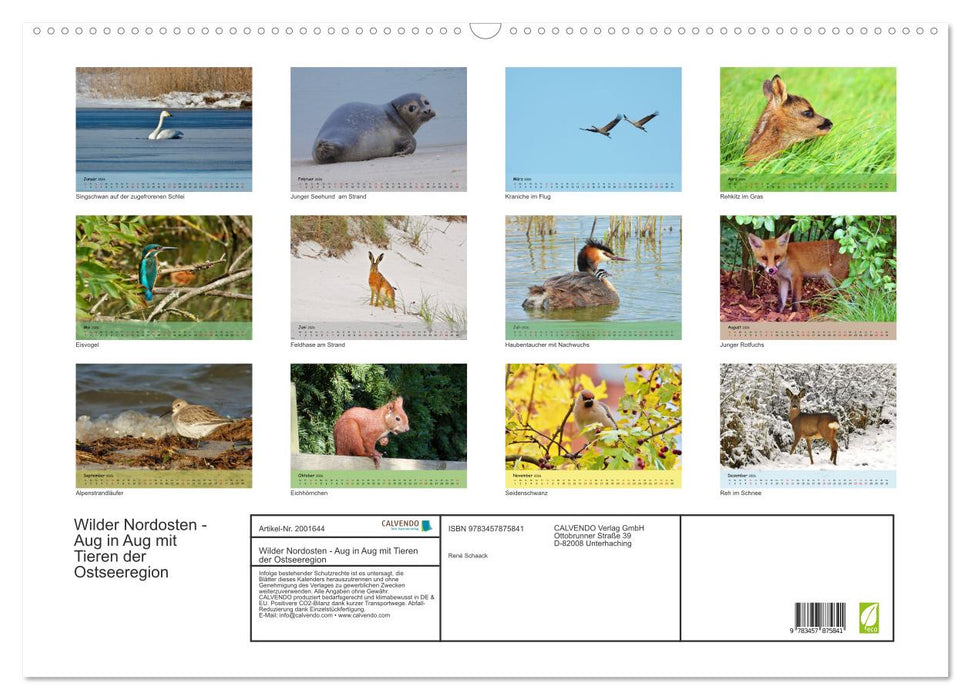 Wilder Nordosten - Aug in Aug mit Tieren der Ostseeregion (CALVENDO Wandkalender 2026)