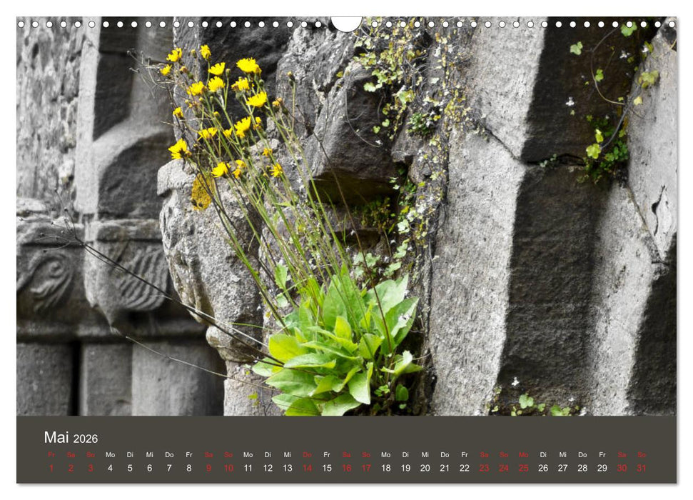 im stift zu bad hersfeld (CALVENDO Wandkalender 2026)