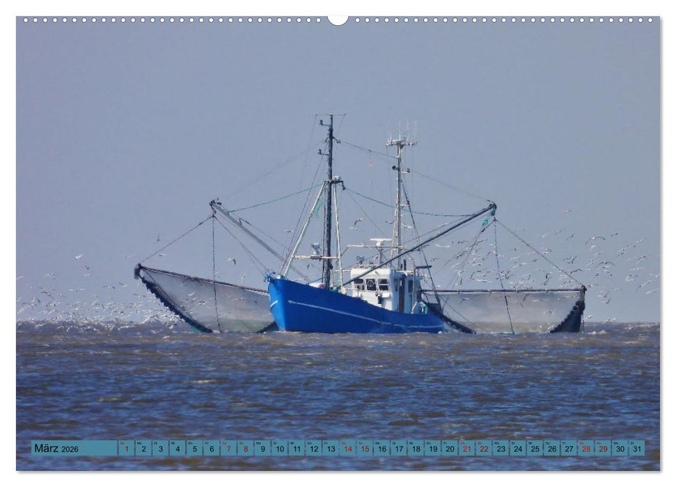 Sonne, Sand und Meer. Farben der Küste (CALVENDO Wandkalender 2026)