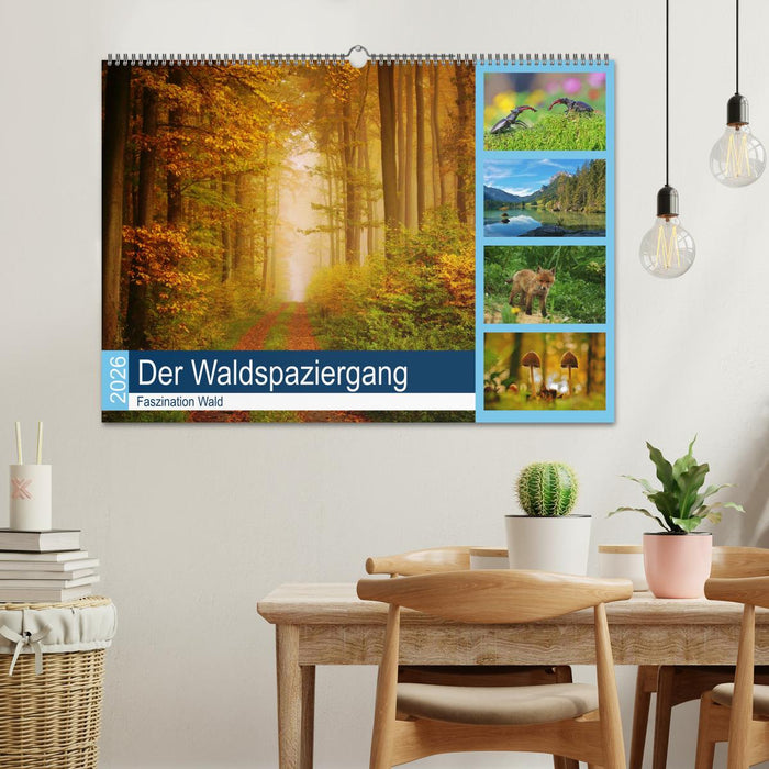 Der Waldspaziergang (CALVENDO Wandkalender 2026)
