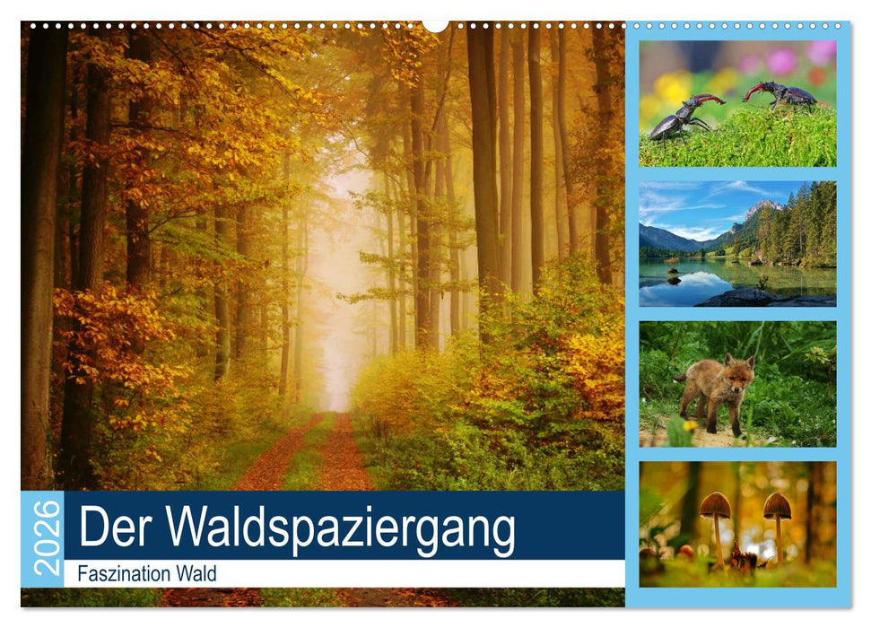 Der Waldspaziergang (CALVENDO Wandkalender 2026)