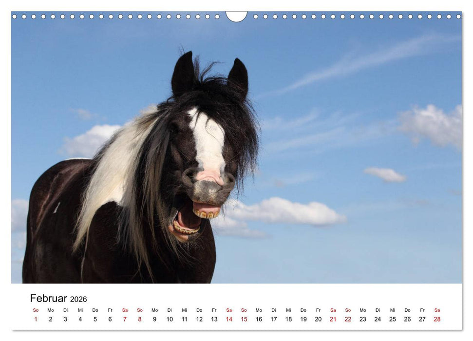 Pferde - im Galopp durch's Jahr 2026 (CALVENDO Wandkalender 2026)