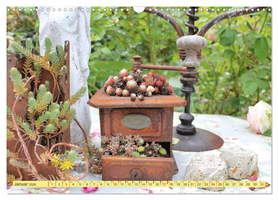 Gartenträumerei (CALVENDO Wandkalender 2026)