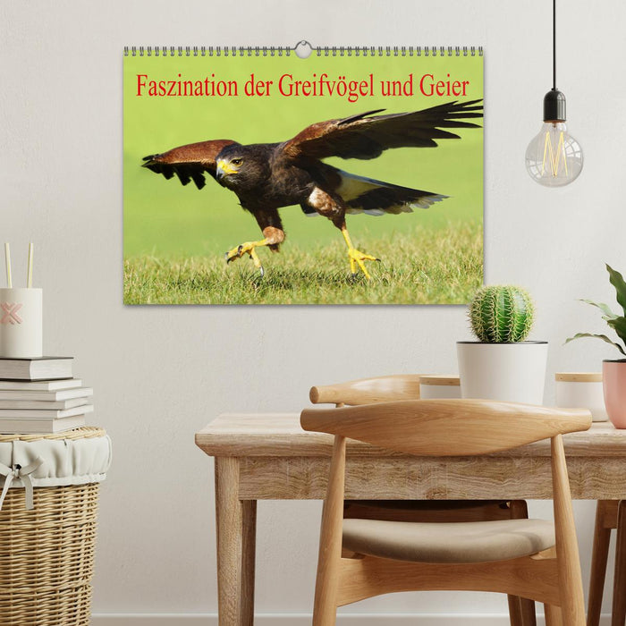 Faszination der Greifvögel und Geier (CALVENDO Wandkalender 2026)
