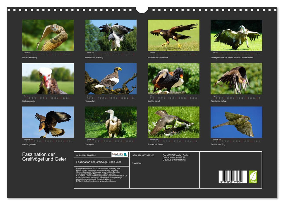Faszination der Greifvögel und Geier (CALVENDO Wandkalender 2026)