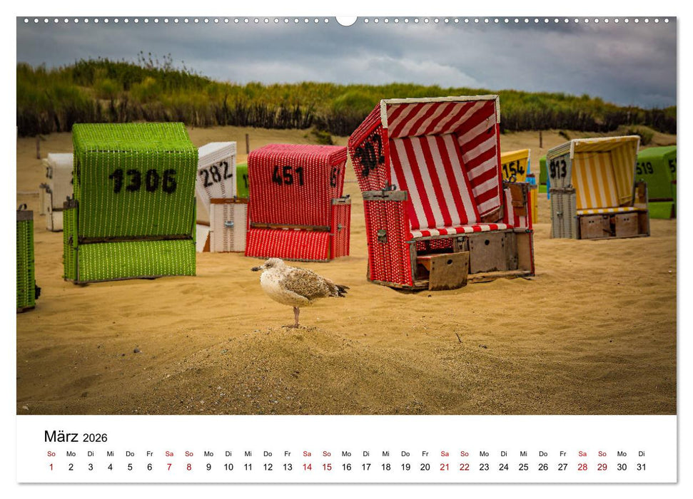 Langeoog – Ein Herbst auf der Insel des Lebens (CALVENDO Wandkalender 2026)