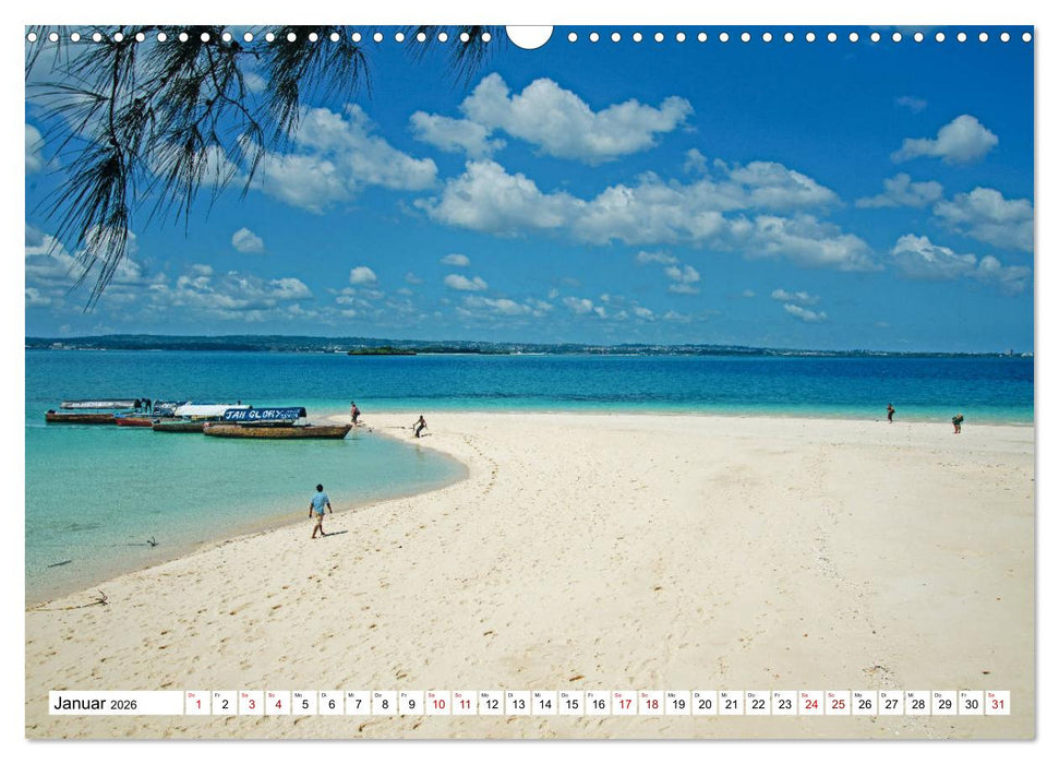 Die Gewürzinsel Sansibar (CALVENDO Wandkalender 2026)