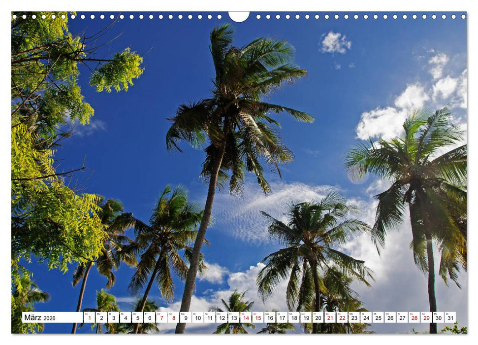 Die Gewürzinsel Sansibar (CALVENDO Wandkalender 2026)