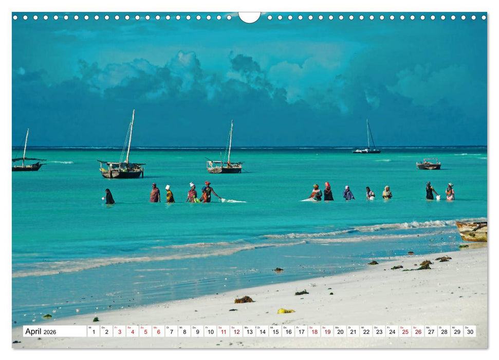 Die Gewürzinsel Sansibar (CALVENDO Wandkalender 2026)