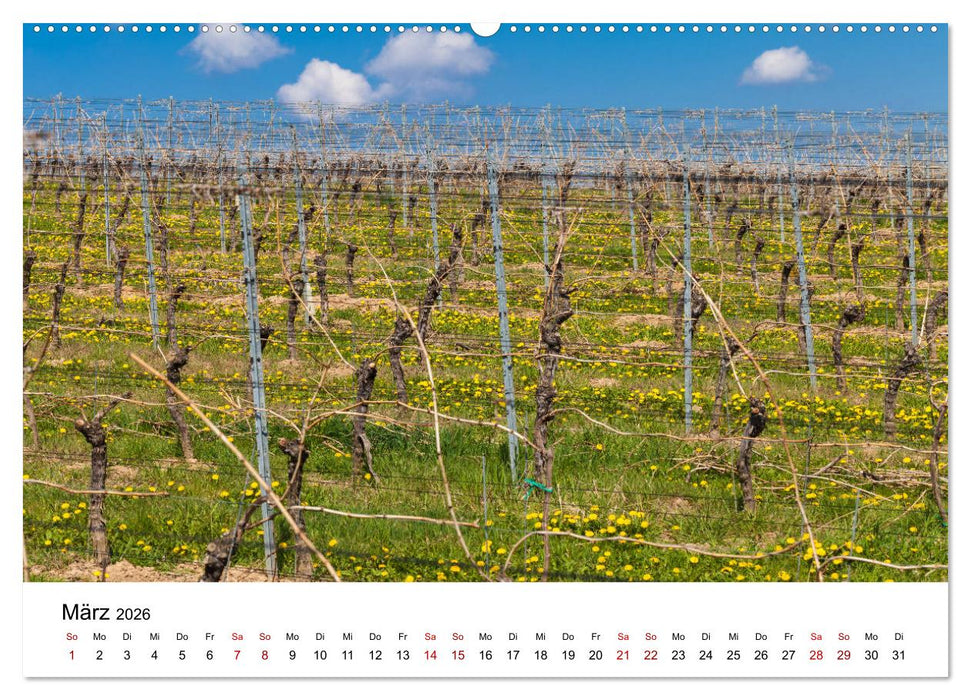 Weinkalender (CALVENDO Wandkalender 2026)