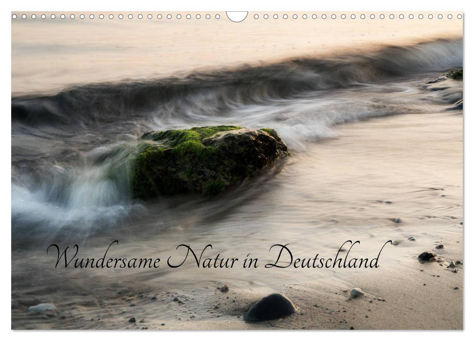 Wundersame Natur in Deutschland (CALVENDO Wandkalender 2026)