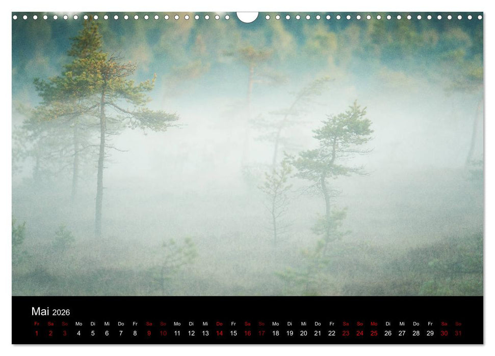 Wundersame Natur in Deutschland (CALVENDO Wandkalender 2026)